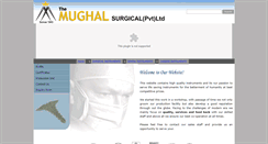 Desktop Screenshot of mughalsurgical.com